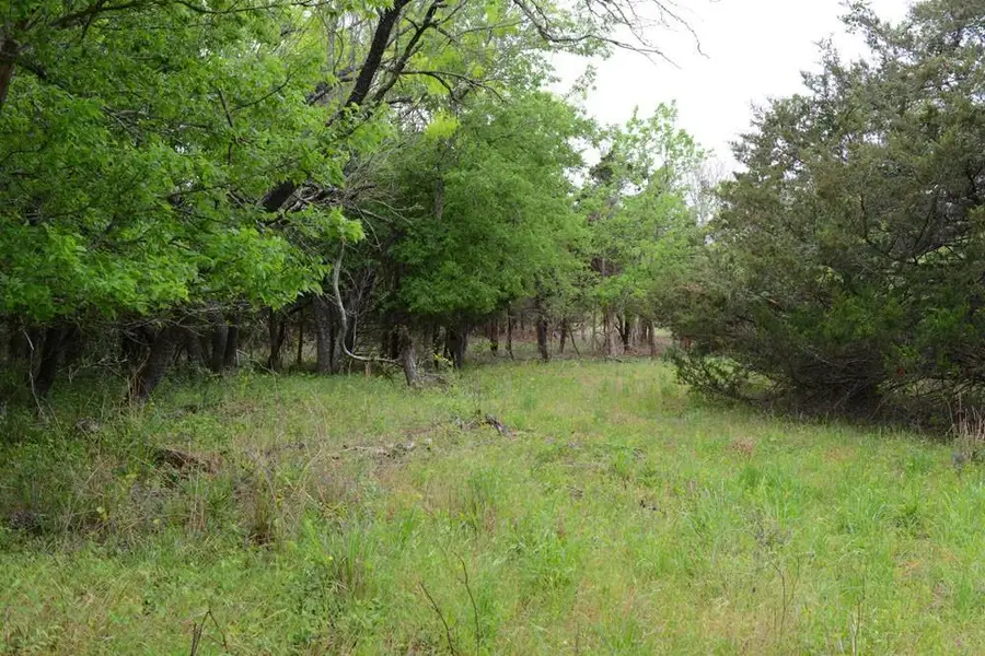 0B Fm 86, Red Rock, TX 78662 - #3