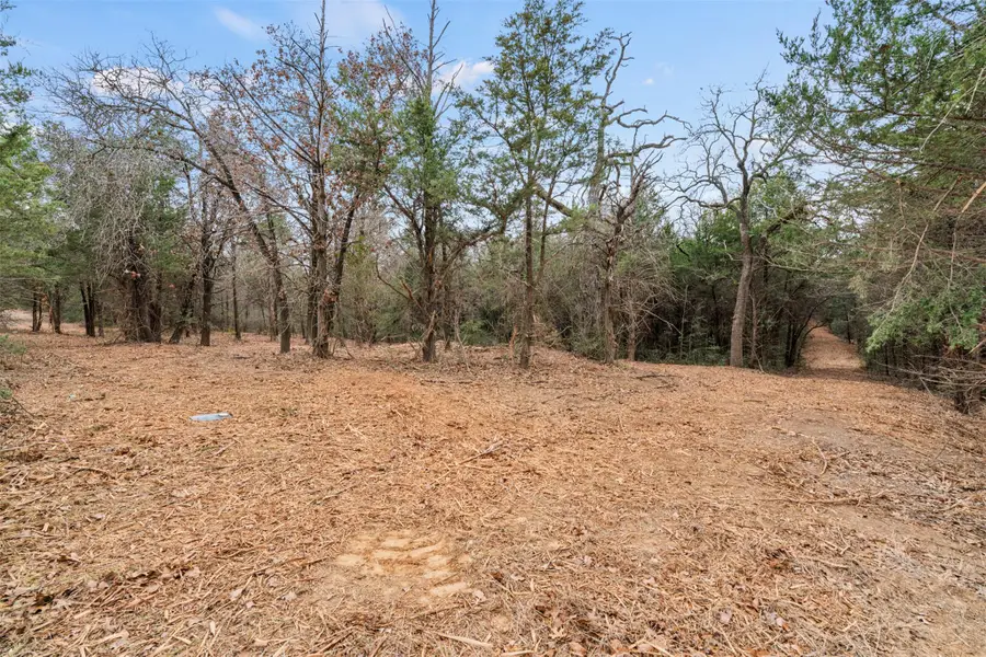 TBD County Road 330, Milano, TX 76556 - Image #3