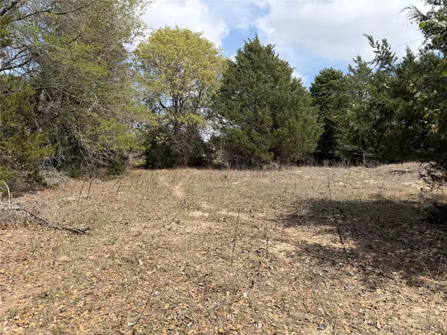 118 Edmonson Ranch Rd, McDade, TX 78650 - #3