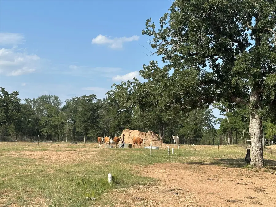 10096 S Us Highway 183 Highway, Lockhart, TX 78644 - #3