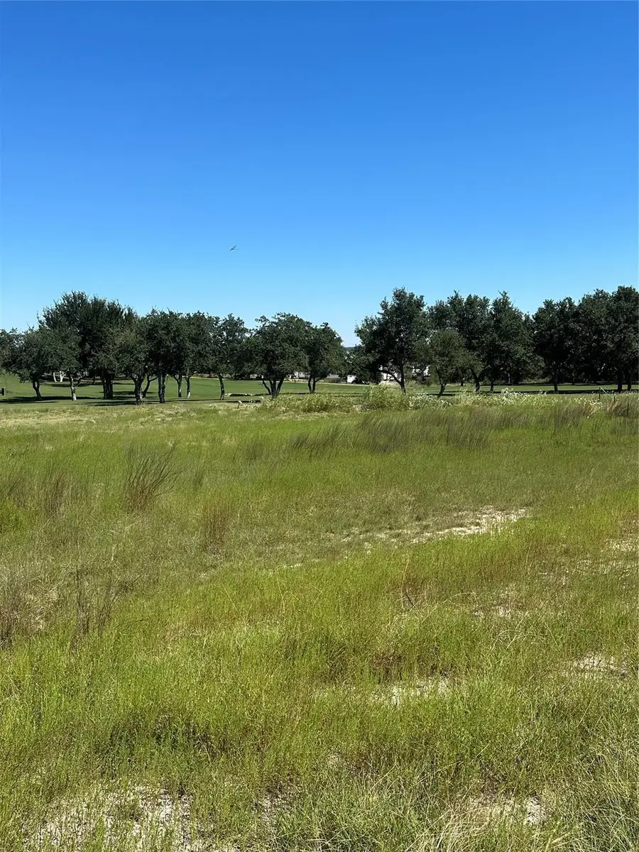 107 Bryan Marsh, Blanco, TX 78606 - #3