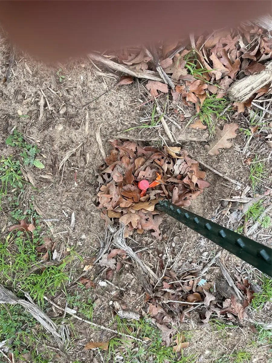 1330 Cypress Trail Loop, Rockdale, TX 76567 - Image #2