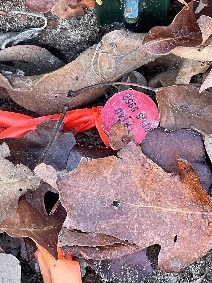 1330 Cypress Trail Loop, Rockdale, TX 76567 - Image #3