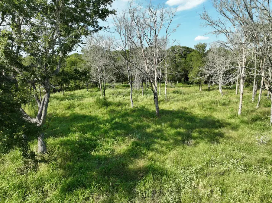 1190 Big Berry Rd, Somerville, TX 77879 - Image #2