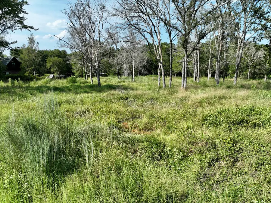 1190 Big Berry Rd, Somerville, TX 77879 - Image #3