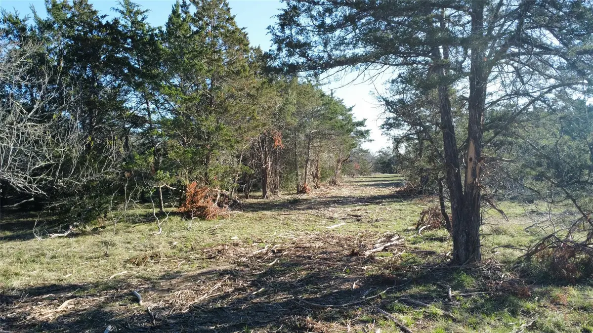 TBD Lot 7 Patterson Rd, Flatonia, TX 78941 - #1