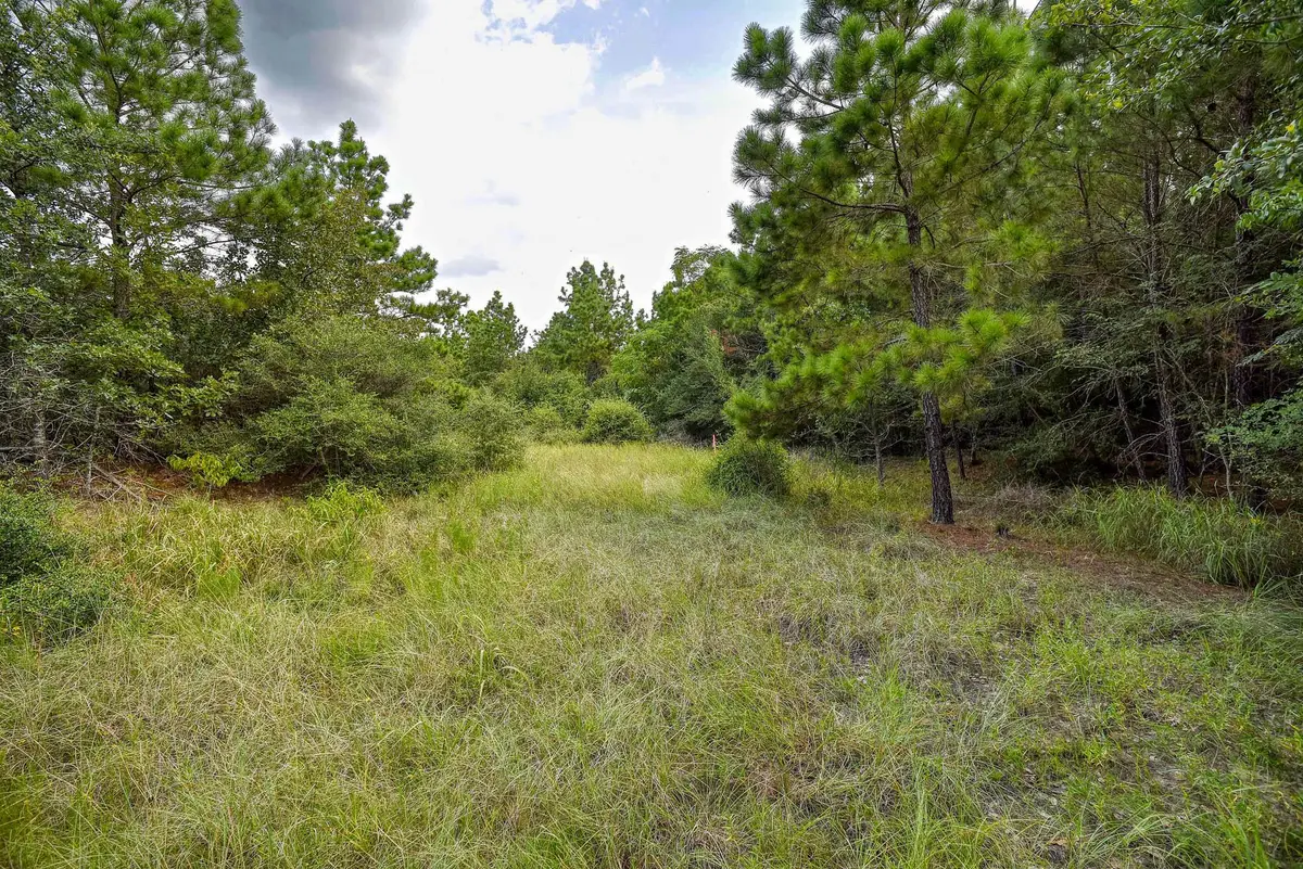 TBD Kipahulu Dr #2, Bastrop, TX 78602 - #1
