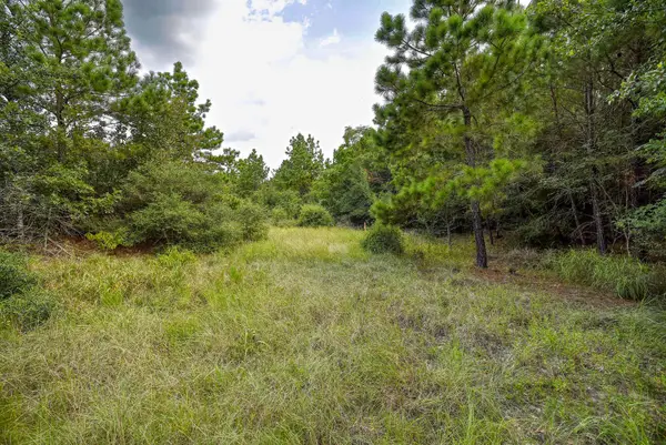 TBD Kipahulu Dr #2, Bastrop, TX 78602