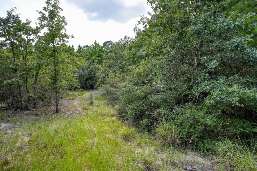 TBD Kipahulu Dr #2, Bastrop, TX 78602 - #2