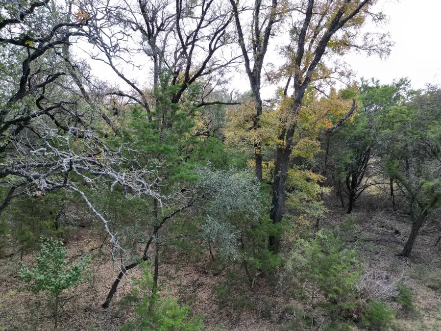 20940 Firefly Rd, Florence, TX 76527 - Image #3