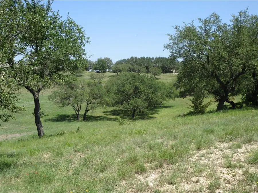 113 Quail Pt, Spicewood, TX 78669 - Image #2