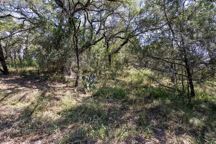 TBD Laurel Ln, Spicewood, TX 78669 - Image #3
