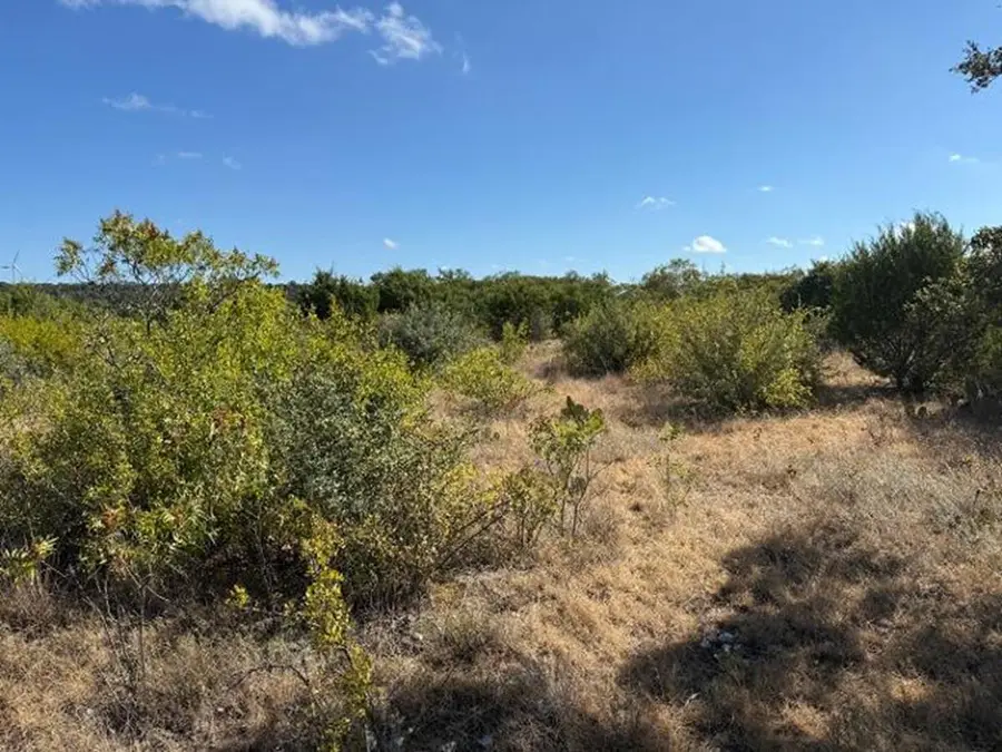 297 E Rolling Oaks Drive, Goldthwaite, TX 76844 - #3