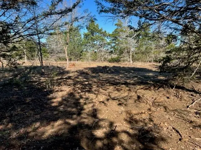 000 Grassyville Rd, Paige, TX 78659 - Image #3