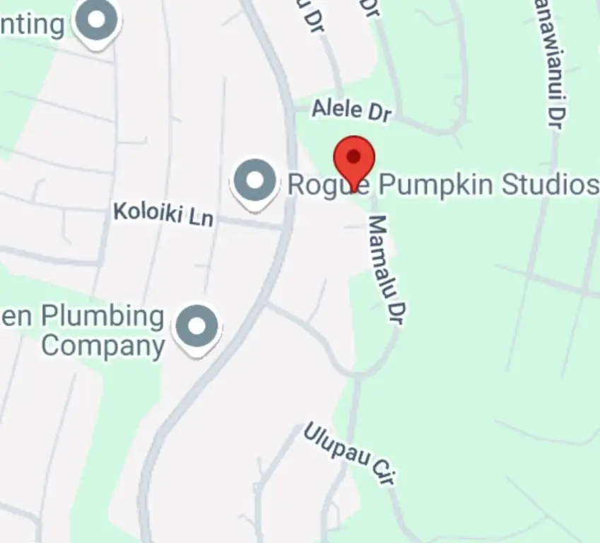 000 Mamalu Dr, Bastrop, TX 78602 - Image #2