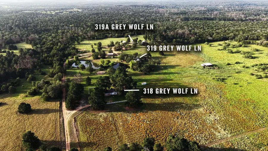 318 Grey Wolf Ln, Bastrop, TX 78602 - #3