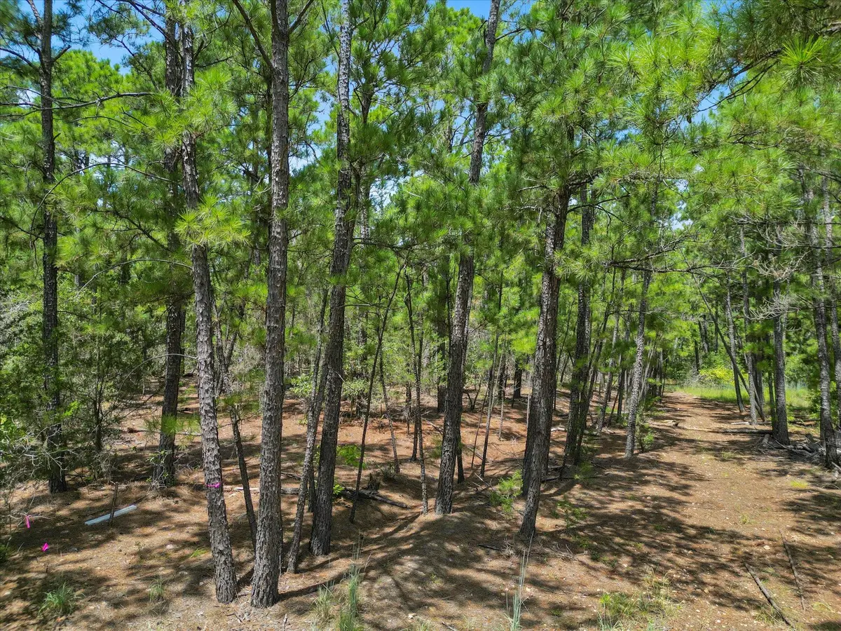 Lot 55 Akala Ln, Bastrop, TX 78602 - Image #1