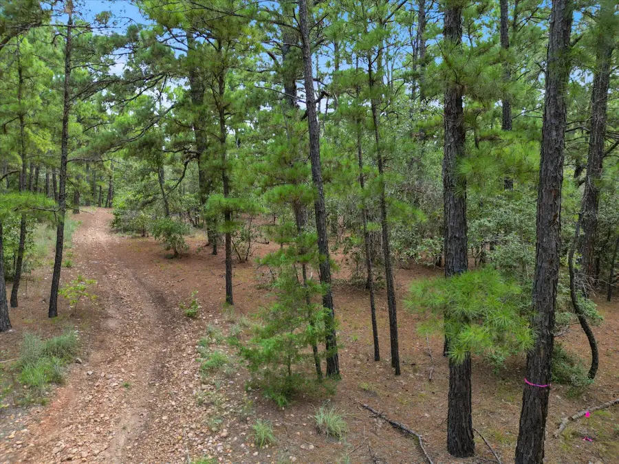 Lot 55 Akala Ln, Bastrop, TX 78602 - Image #2