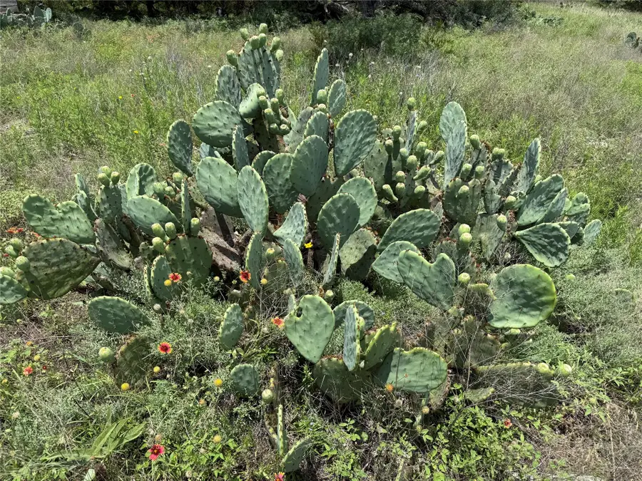 70 Mourning Dove Ln, Lampasas, TX 76550 - Image #3