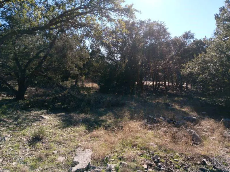 101 Timber Line Rd, Georgetown, TX 78633 - Image #3