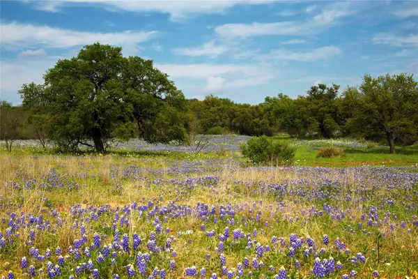 Lot 11 Maddalena Ln, Dripping Springs, TX 78620