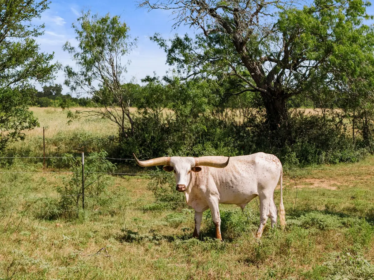 625 Callihan Rd, Luling, TX 78648 - #1
