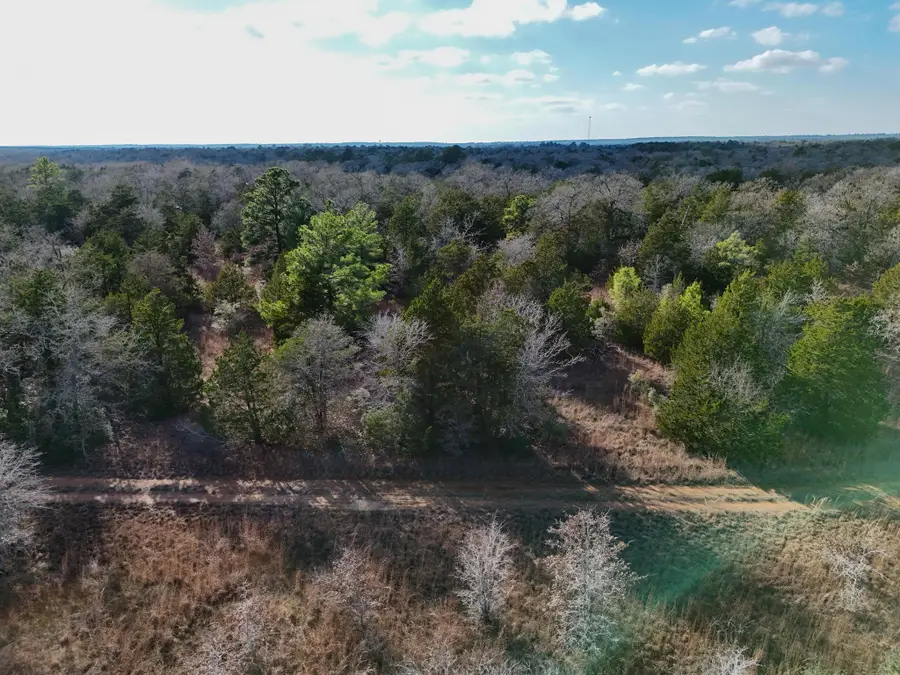 Lot 4 South Old Potato Rd, Paige, TX 78659 - #3