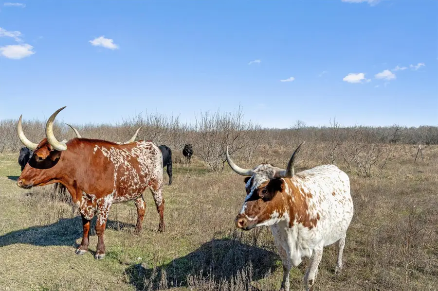 0 Rolling Ridge Rd, Lockhart, TX 78644 - #2