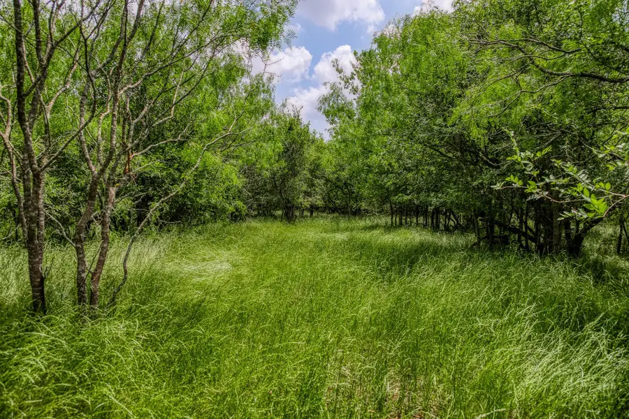10396 County Road 276 Land, Somerville, TX 77879 - Image #2