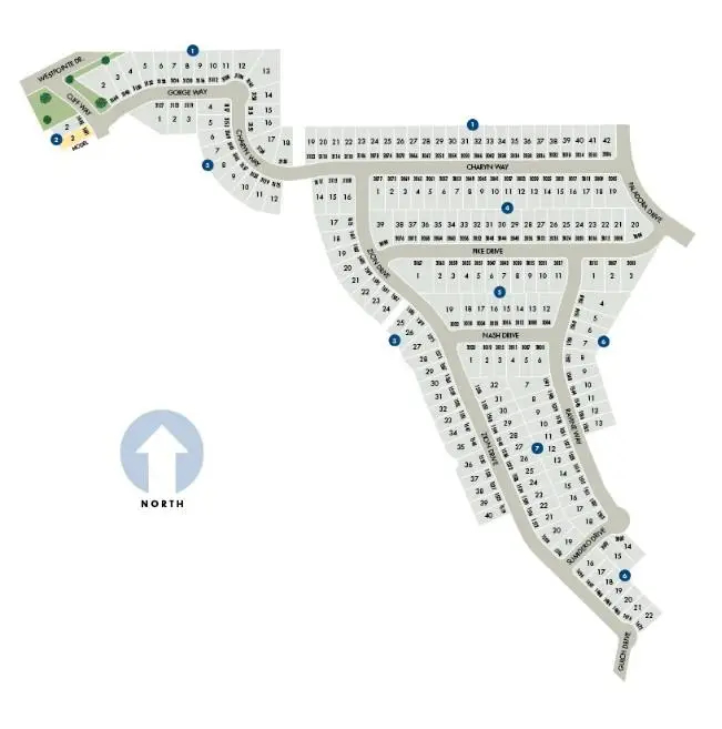 3007 Nash Dr, New Braunfels, TX 78132 - Image #3