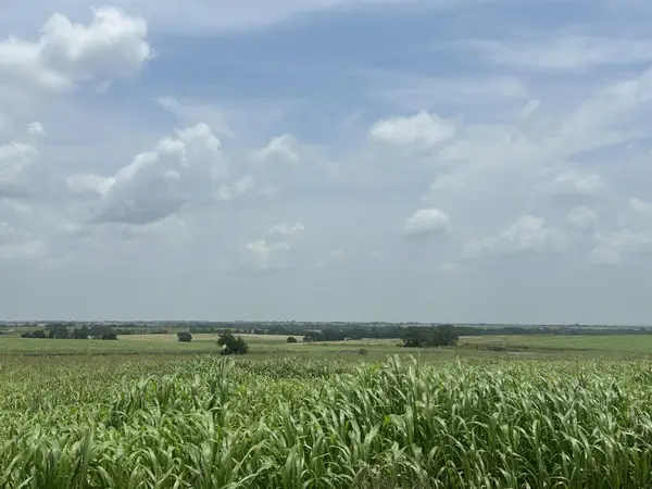 999999 E Main St, Troy, TX 76579