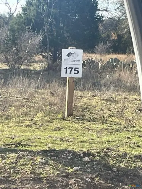 Lot 175 Heartleaf Drive, Lampasas, TX 76550 - Image #1