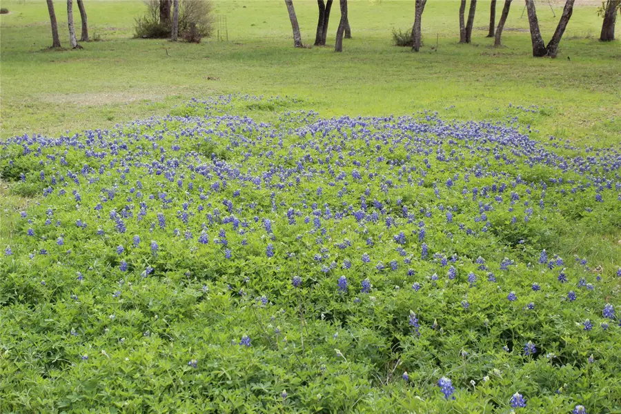 19115 Old F M Road 1431, Jonestown, TX 78645 - #2