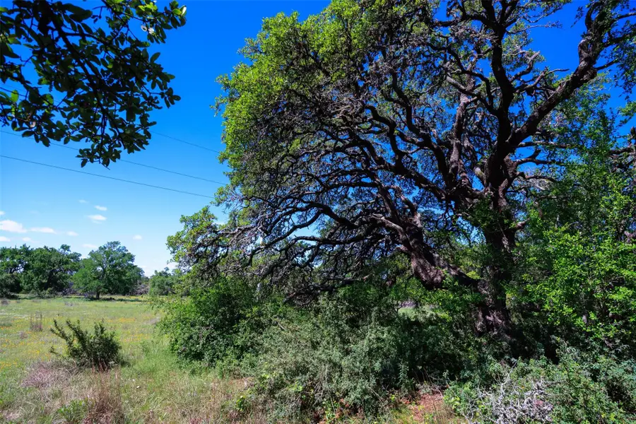 480 Blue Creek Dr, Dripping Springs, TX 78620 - Image #3