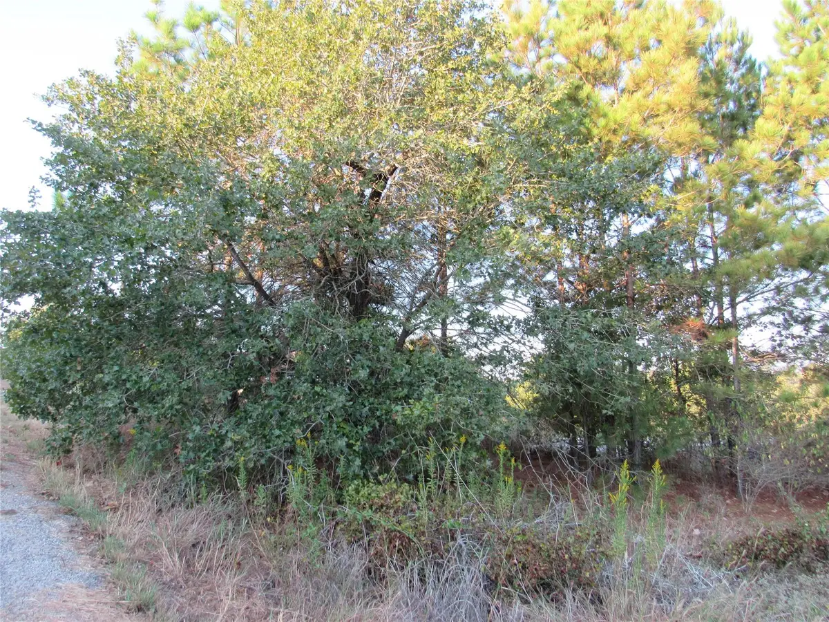 002 Kipahulu Ln, Bastrop, TX 78602 - Image #1