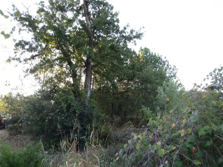 002 Kipahulu Ln, Bastrop, TX 78602 - Image #3