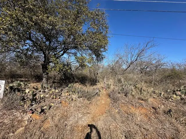 0 Tbd Cedar Dr, Granite Shoals, TX 78654 - #2