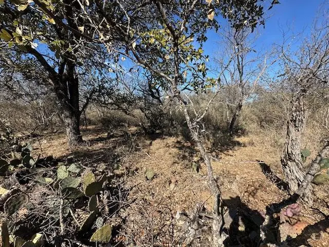 0 Tbd Cedar Dr, Granite Shoals, TX 78654 - #3