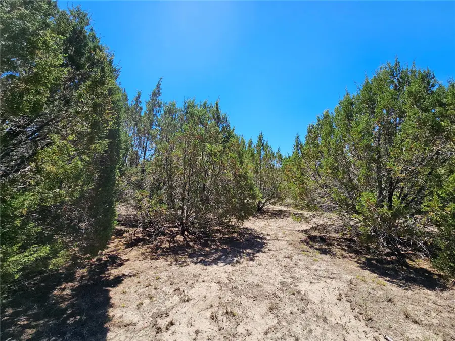 Lot 25 Alta Vista Dr, Lampasas, TX 76550 - Image #3