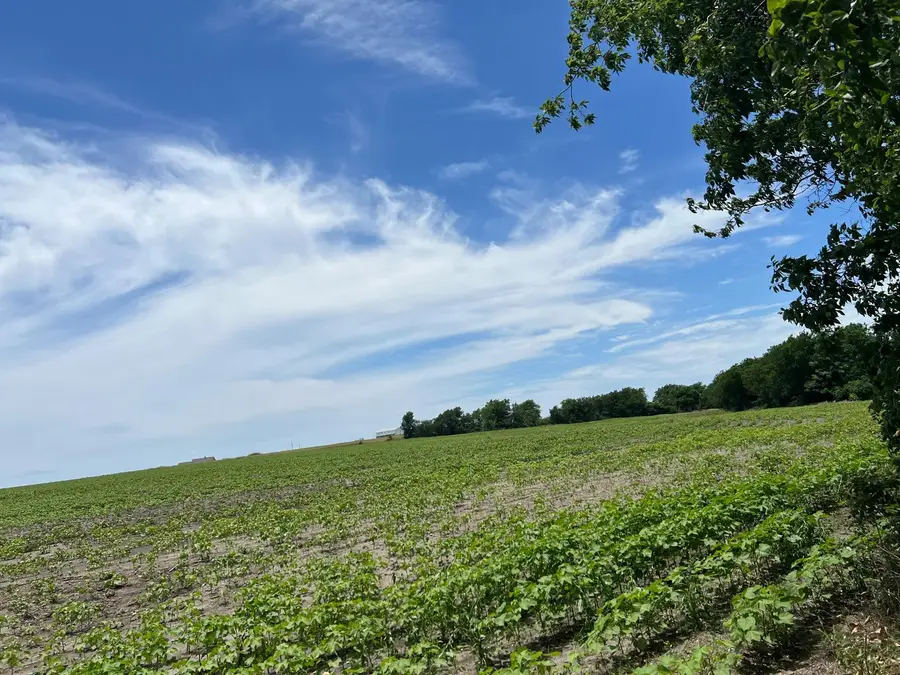 65.47 acres Cr 327 Rd, Granger, TX 76530 - #3