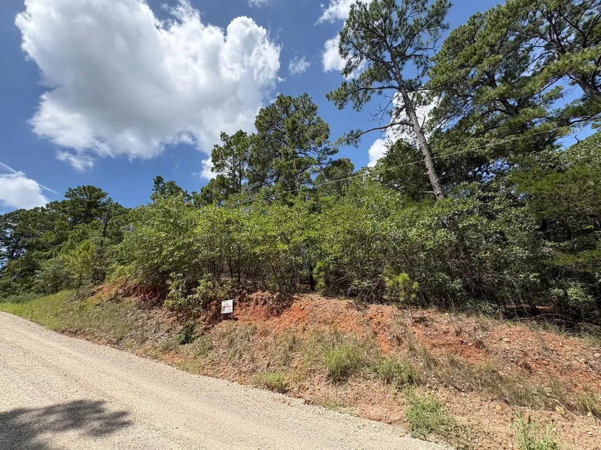 120 Molokini Dr, Bastrop, TX 78602 - Image #1