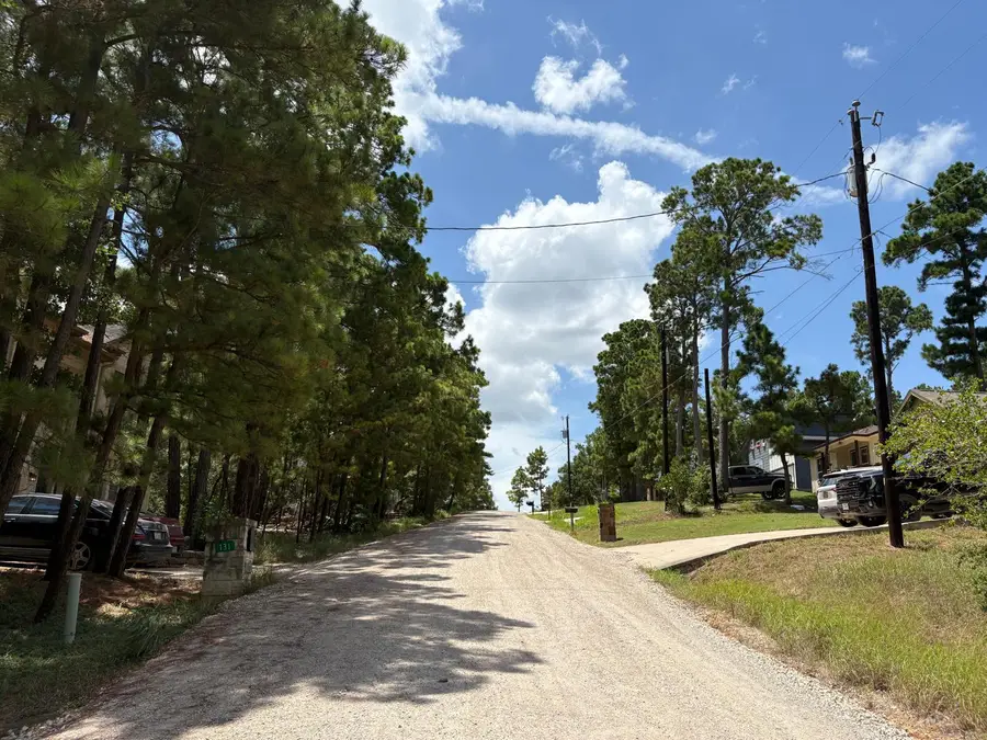 120 Molokini Dr, Bastrop, TX 78602 - Image #3