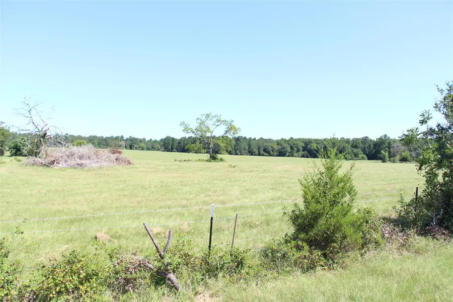 None County Road 3401, Crockett, TX 75851 - Image #3