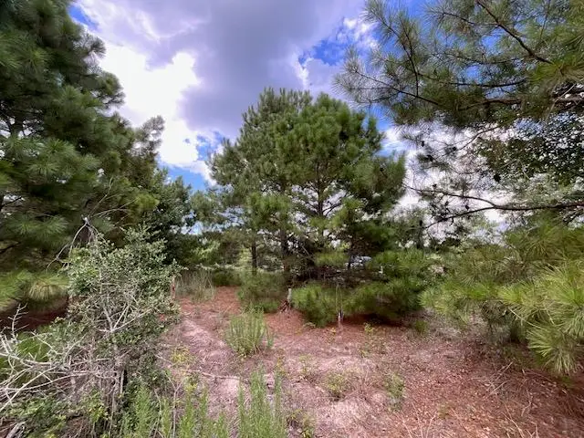 TBD County Rd., Lot 20-c Rd, Bastrop, TX 78602 - Image #3