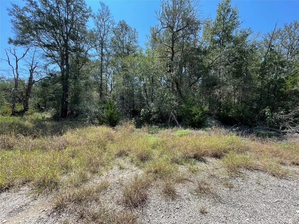 Lot 1112 Kawanui Dr, Bastrop, TX 78602 - #1
