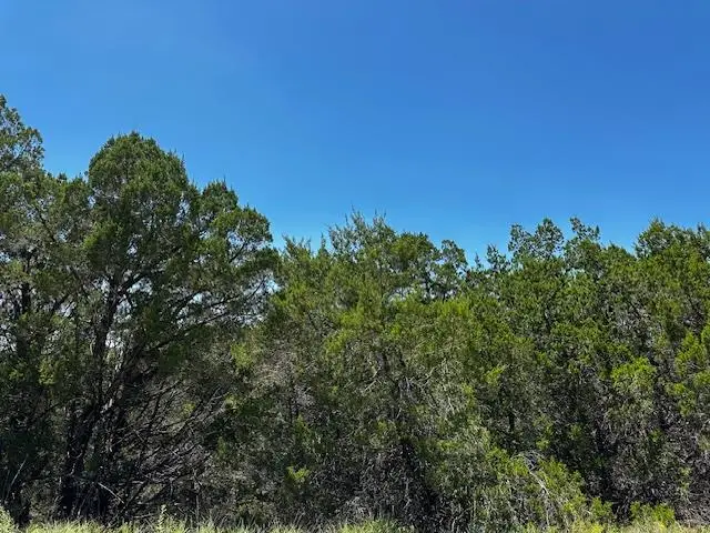 8406 Bronco Ln, Lago Vista, TX 78645 - Image #1