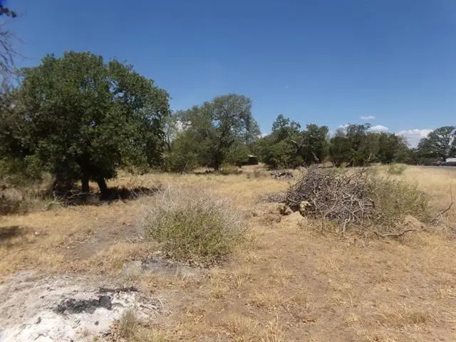 Lot 140 Pine Lane, Cottonwood Shores, TX 78657 - Image #2