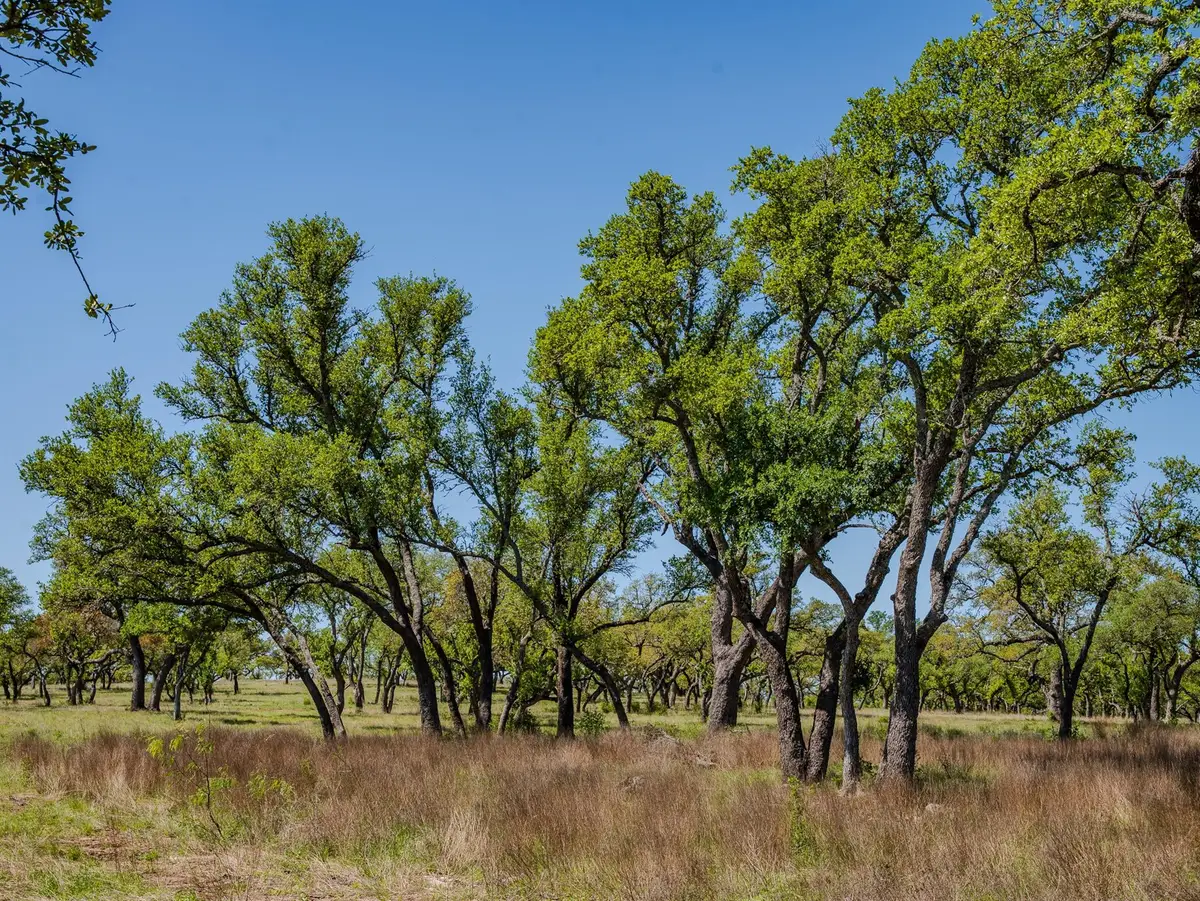 000 Tall Oak Rnch, Johnson City, TX 78636 - Image #1