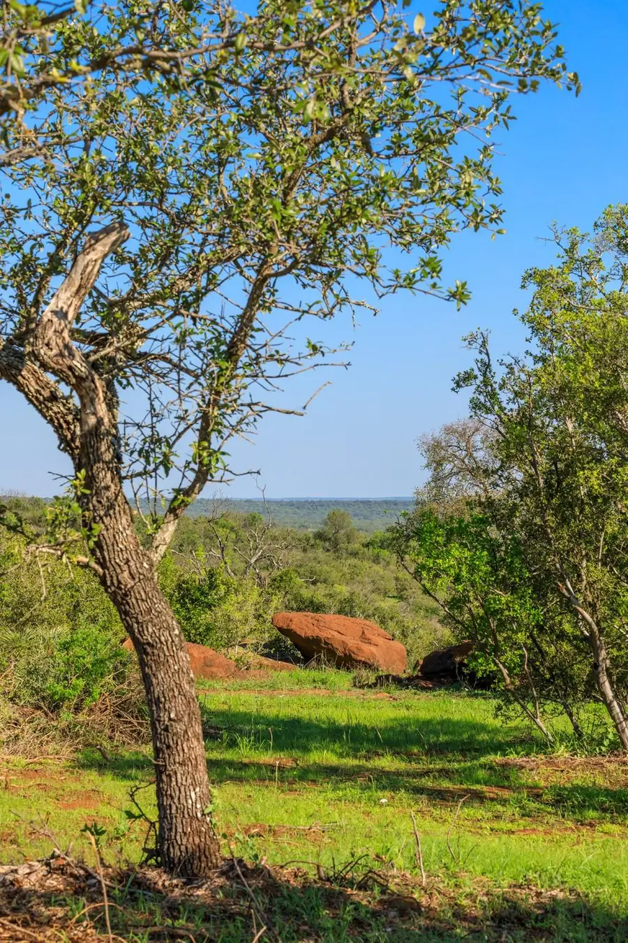 Lot 5 Art Hedwigs Hill Rd, Mason, TX 76856 - #2
