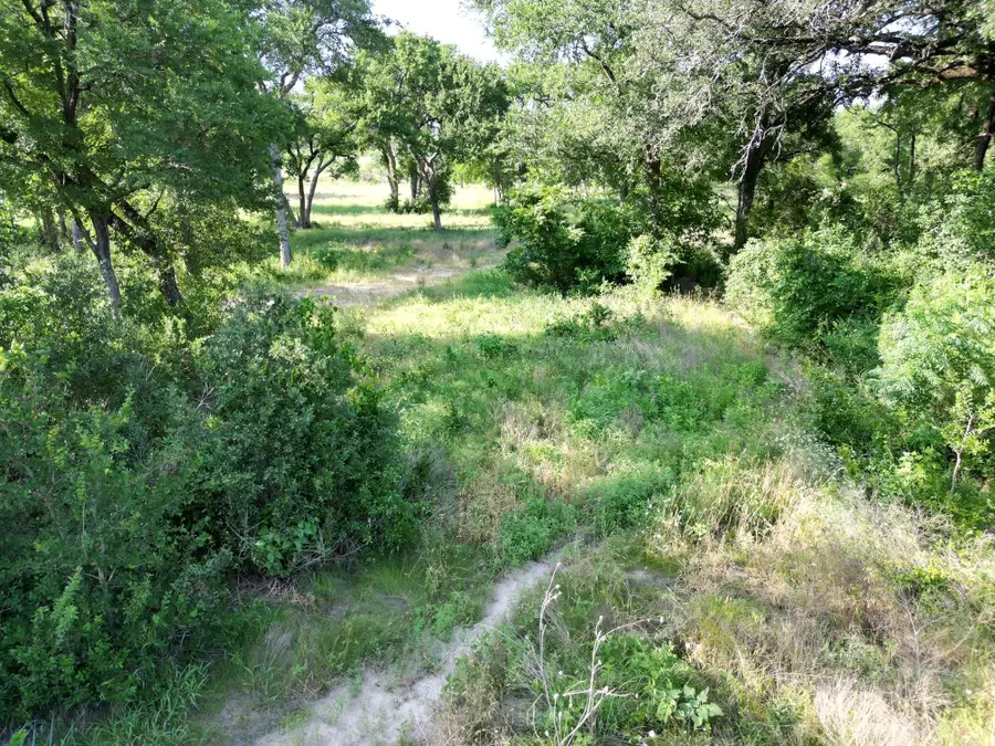 216 Serenity Dr, Liberty Hill, TX 78642 - #2